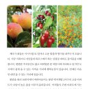 노영순농장 이미지