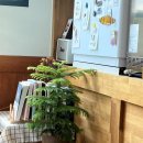 뉴제주약국 이미지