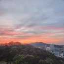 롤링스타롤러장