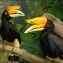 새인농장 이미지