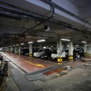 금성로2(동) 이미지