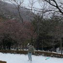 경북 눈구경과 눈썰매까지 대구근교 포항 경상북도수목원
