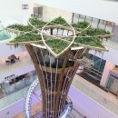 동작구청 Daum카페