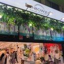 제주도 레인보우 이미지