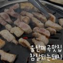세븐일레븐 울산신천효성점 | 울산 매곡 고기집 참잘되는돼지 가성비 맛집