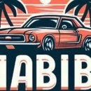 하비비무인텔 이미지