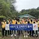사랑의 집 이미지