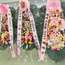 대한민국재향경우회