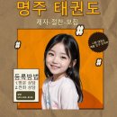 한국체대 명주태권도 이미지