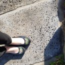 하도조아 이미지