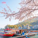 남해-177 이미지