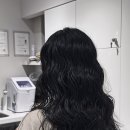 비그로브 비 이미지