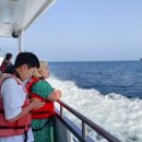 돌고래농장 이미지