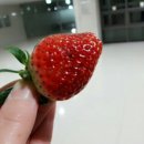 주신농장 이미지