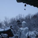 평사(여) Daum카페