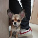 수아동물병원 이미지