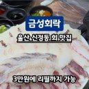금성회락