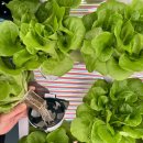 우림농장 이미지