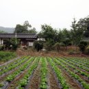 평창 대하리 전통가옥 이미지