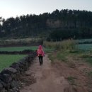 좌기동경로당 이미지