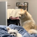 뚜드림 다사점 이미지