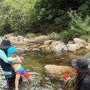 묘솔캠핑장 이미지