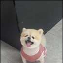 멍했냥 평택본점 이미지