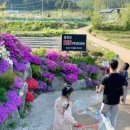 홍천강RIO펜션 이미지