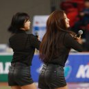 디티