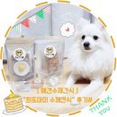 희또마미수제간식 이미지