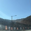 길냥이와 함께하는 | 동두천 가볼만한곳 니지모리스튜디오 방문 후기 리뷰