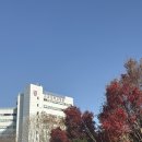 적금로3 | 고잔동미용실 봄헤어 팀스펌 파마 만족 후기