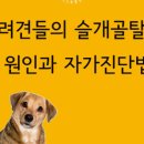 오래오래동물병원 이미지