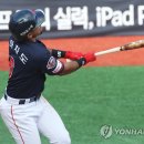 두리위즈 이미지