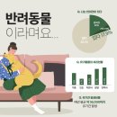 해피도그 이미지