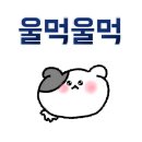 대구활공랜드 이미지