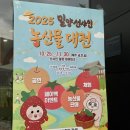 40+요가-몸과 마음의 건강으로 찾는 행복 | 밀양 선샤인테마파크 요가컬처타운에서 스파,마사지 힐링체험