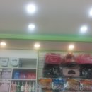 강쥐애견샵 이미지