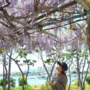 수능엄사 옆 이미지