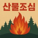 영남 행정사사무소 이미지