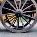 하룻강아지 이미지