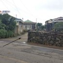 상모리-25 이미지