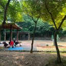 오금공원테니스장 화장실앞 이미지