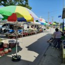 노곡면사무소 | 삼척 오일장