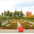 순천만국가정원 이미지