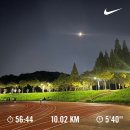 사림동250 | 10월, 낭만에 대하여, 근데 이제 250km를 곁들인