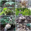 둔일농장 이미지