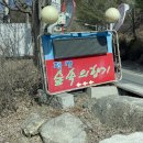 비발디 향기나무 이미지