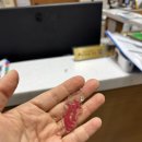 경기도 수원시 권선구 금호로195번길 5-6 | [공지] I Live My Life 이제부터가 시작이야 내가 선택한 삶의 주인공은 나