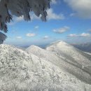 3/2 제256회 전남 장성 방장산 (734m) 정기산행 이미지